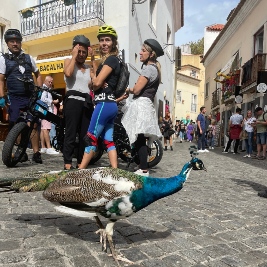 Viver Lisboa, Pedalar 7 Colinas!