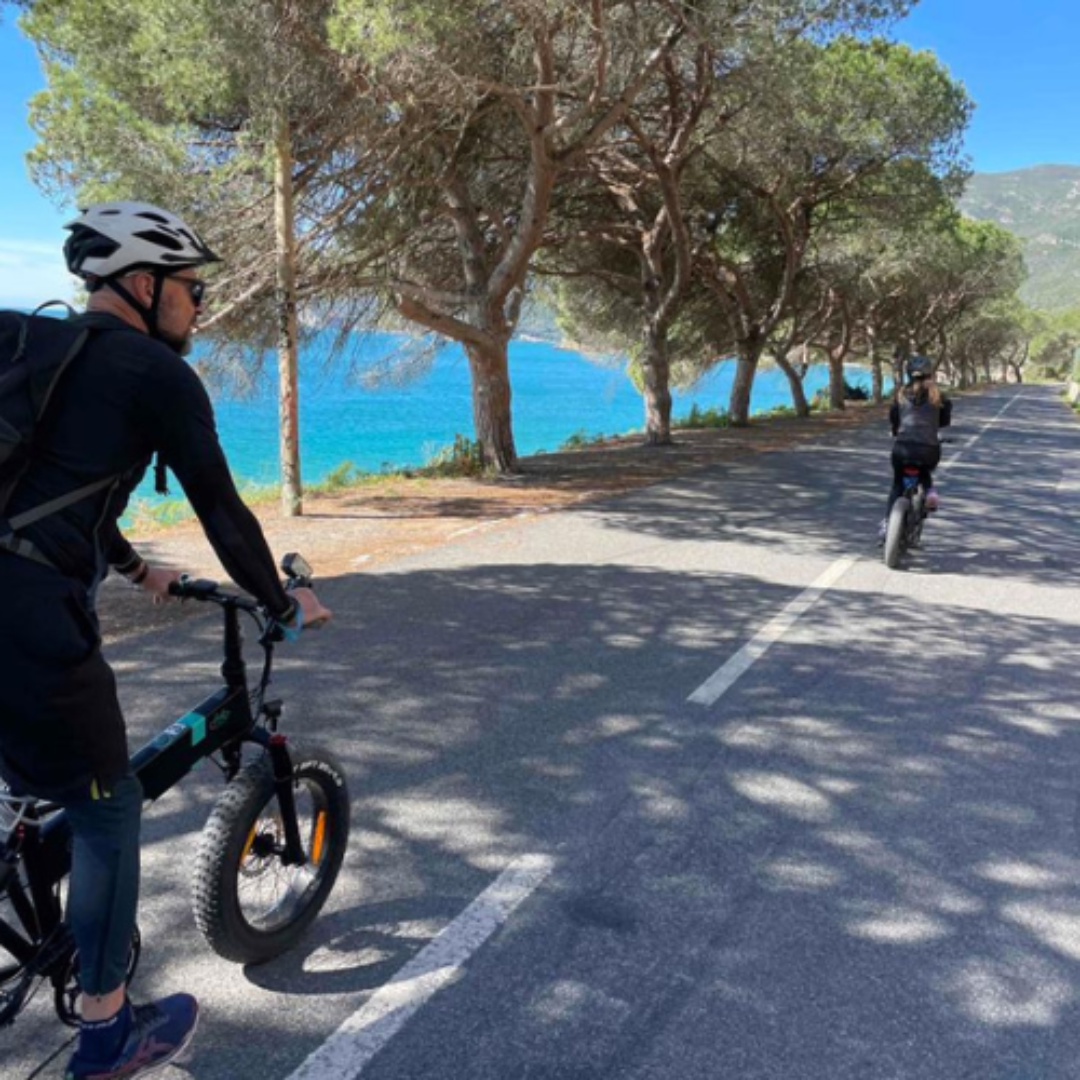 Viver Lisboa, Pedalar 7 Colinas!