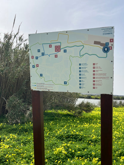 Tour Salinas do Samouco – Salinas, Estuário e Fauna