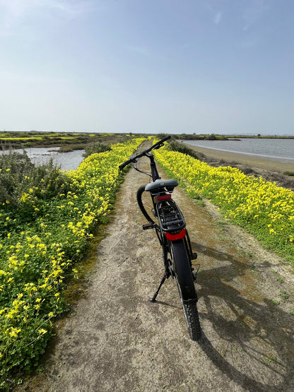 Tour Salinas do Samouco – Salinas, Estuário e Fauna