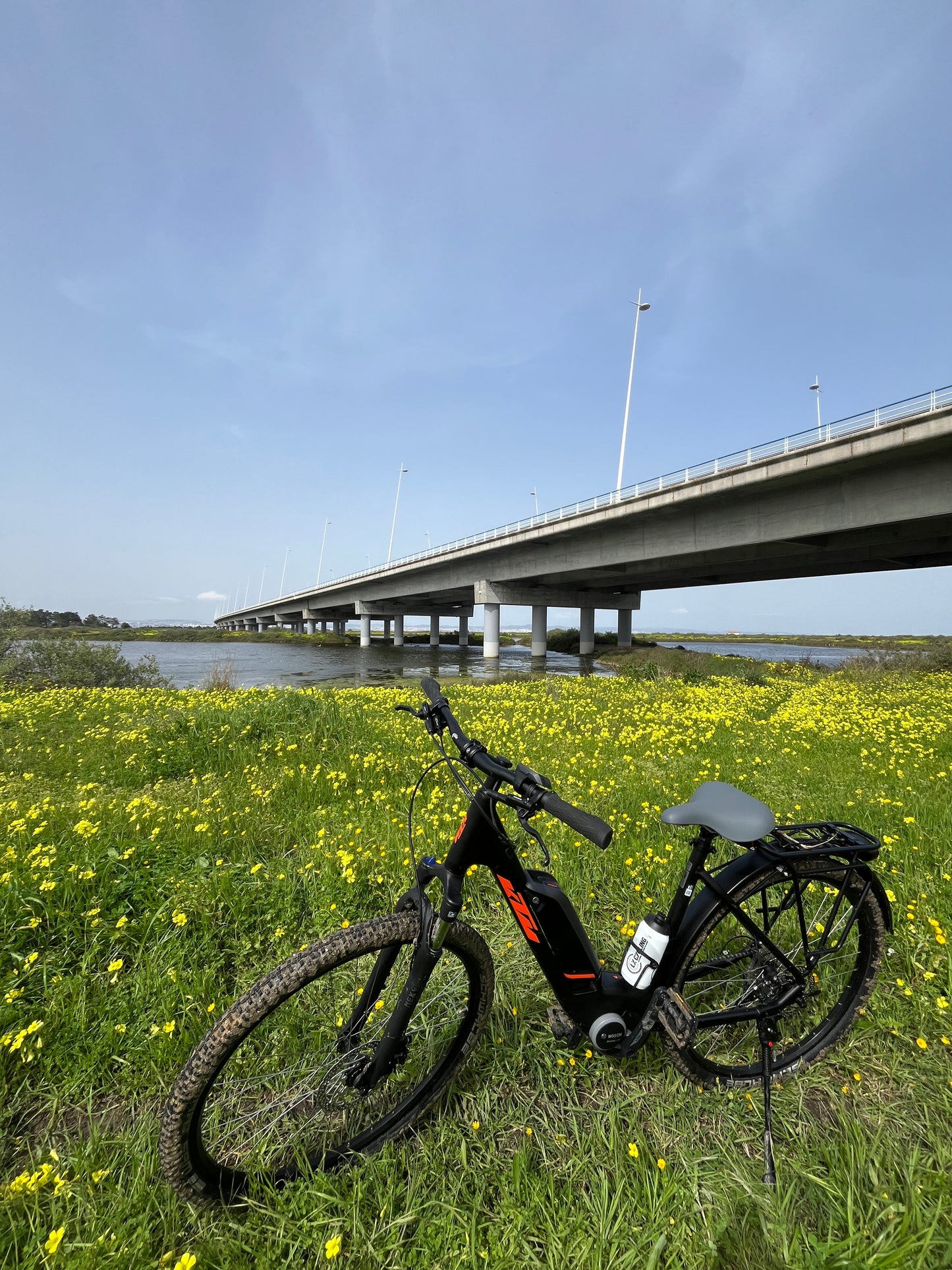 Tour Salinas do Samouco – Salinas, Estuário e Fauna