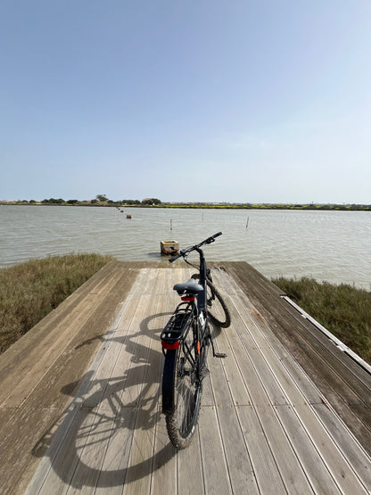 Tour Salinas do Samouco – Salinas, Estuário e Fauna
