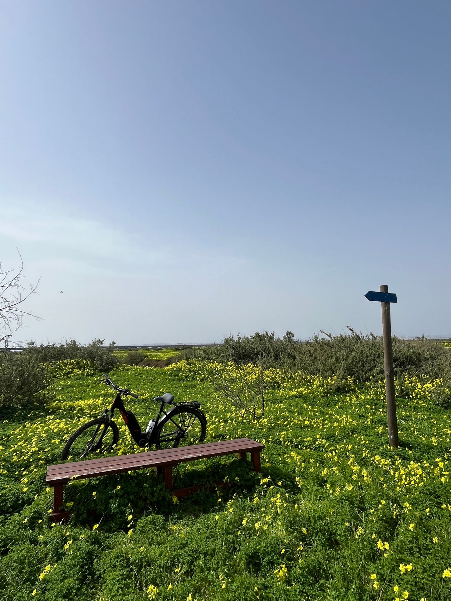 Tour Salinas do Samouco – Salinas, Estuário e Fauna