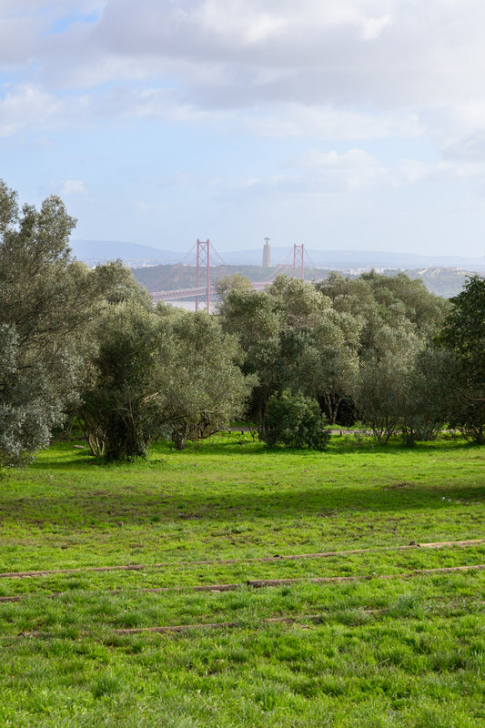 Tour Monsanto - Parque Verde de Lisboa