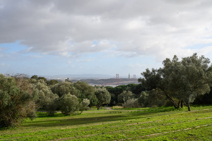 Tour Monsanto - Parque Verde de Lisboa