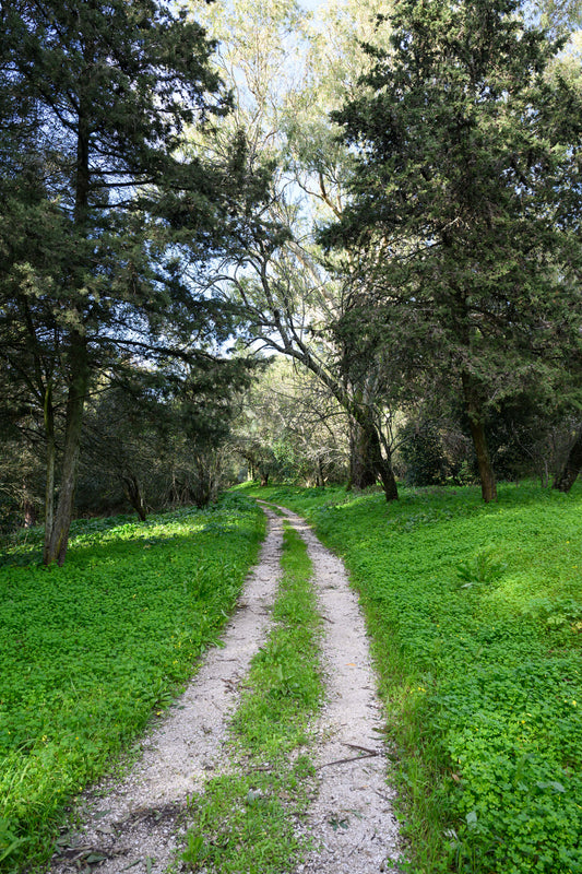 Tour Monsanto - Parque Verde de Lisboa